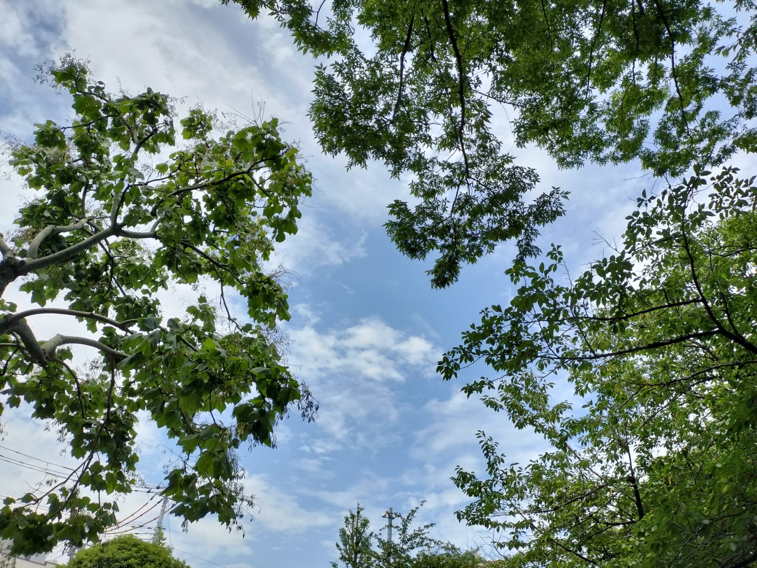 背景画像